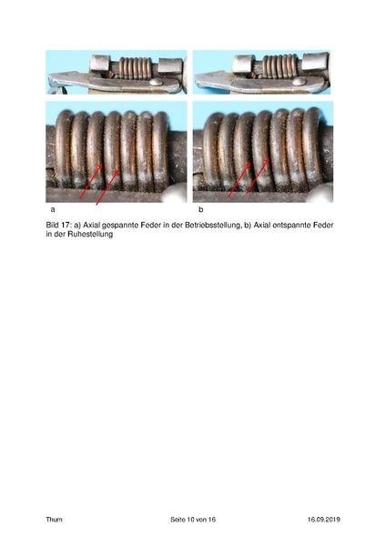 Datei:Thum Tulpenmagnet 2019-8.pdf