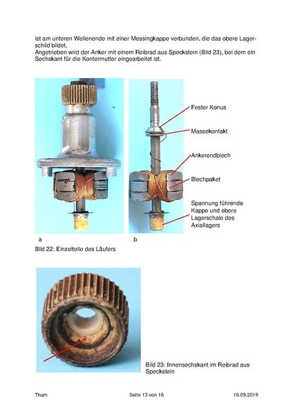 Datei:Thum Tulpenmagnet 2019-8.pdf