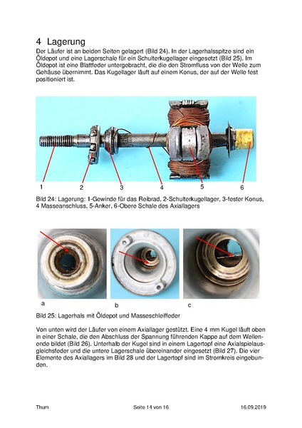 Datei:Thum Tulpenmagnet 2019-8.pdf
